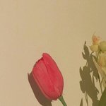 [댓글부탁해] 오늘 우리반 아싸 약간 부러웠음