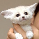 [댓글부탁해] <b>민</b><b>티</b> 유두가사 갑자기 다시봤는데 소름인게