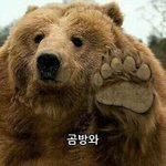 남자애랑은 <b>디스</b>를 맘편하게 할수있어서 좋음