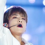 [박우진] 우진이 사녹후기 올라오는거보면