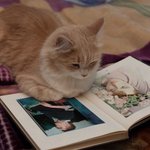 [댓글부탁해] <b>아</b> <b>나</b> 어떡해 타이밍을 못맞추겠어