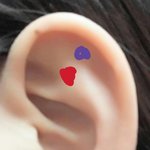 [조언부탁해] 피어싱 <b>위치</b> 추반좀ㅇ9