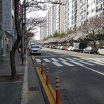[댓글부탁해] 현재 <b>진해</b>쪽상황