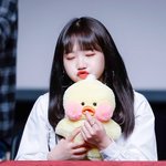 깜찍이 <b>여아</b>이돌 모았음