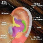 [조언부탁해] <b>연골</b>뚫는거 많이 아파?