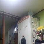 사진속에 숨은 고양이 <b>찾기</b>