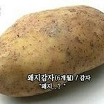 [댓글부탁해] 애들아 <b>개</b>급해 나 냄새<b>킹</b> 되게생김