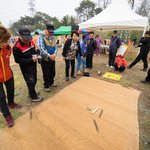 [국내여행] 4월 <b>당진</b>지역축제 기지시 줄다리기 축제~