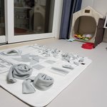 강아지 <b>울타리</b> 문제