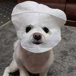 [댓글부탁해] 우리반에 맨날 자는데 전교<b>상위</b>권인 애 있음