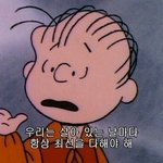 살려조 <b>콧물</b>이 안멈춰ㅠㅠㅠㅠ