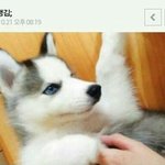 근데 파데 <b>퍼프</b> 관리 어케하지