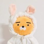 [댓글부탁해] 수학 알려줘