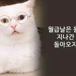 늦둥이인 애들 특징