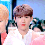 [박우진] 오늘 핑쿠•<b>연청</b>•화이트(하네스) 골고루ㅠㅠ