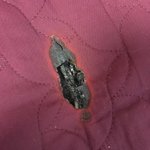 [댓글부탁해] 전기매트가 타서 <b>침대</b>매트까지 다 탔습니다.