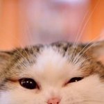 얼른 나한테 <b>청혼</b>해 ㅋㅋ