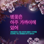 [댓글부탁해] 벚꽃보러 가자 스타벅스 준댕! (서울경기만)