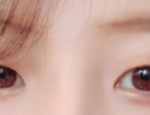 <b>쌍수</b>할까