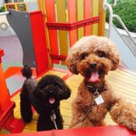 [샤이니] 샤이니 키 집