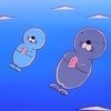 [조언부탁해] 고등학교 수학 <b>심화</b>문제집 추천좀요