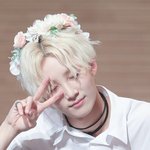 [세븐틴] ㅅㄷ <b>캐럿</b>들 나 너무 힘들어