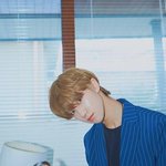 [세븐틴] 타팬인데요!
