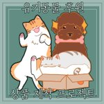 [유기동물] 도와주세요