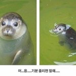 학교에서 이상한 소문 있냐