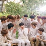 [세븐틴] 캐럿들 ㅜㅜ