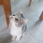 [댓글부탁해] 내 짝남 내 친구랑 <b>사겨</b>