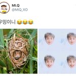 [시우민] 흔한 시우민의 <b>위장</b>술