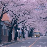 [댓글부탁해] 나 요새 너무 행복해ㅠ