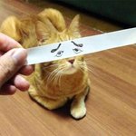 [댓글부탁해] <b>유미</b>의 세포들 보는 애들 있냐??