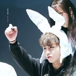 [워너원] 타팬인데 물어볼게있음