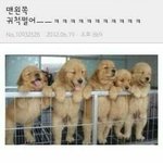 오늘 <b>봉사</b> 갔는데 진짜 설렜다