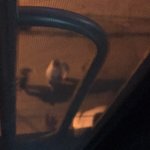 [댓글부탁해] 우리<b>집</b><b>앞</b>에 양아치들 모여있음