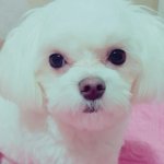 친구가절 <b>질투</b>하는걸까요