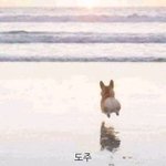 고등학교 국어 <b>내신</b> <b>공부</b> 팁좀주랑 ㅠㅠ