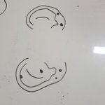 귀걸이 <b>위치</b> 조합어때?