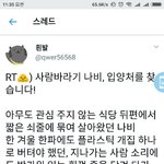 혹시 여기서 고양이 입양할수 있는 사람있어???