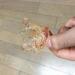 [10대의성] 19? 남자친구 폰갤러리에서