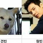 [댓글부탁해] <b>의사</b> 관련된 책 추천좀 ㅠ