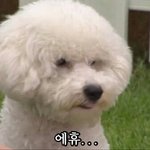 진짜 유독 못생겨지는 날 있지않냐