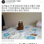 너넨 얼굴중에 못생김의 <b>원천</b>이 어디냐