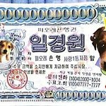 [<b>매콤</b>이액게] 정