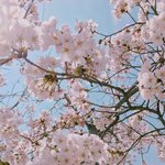 클리오 쿠션 추반 좀!!