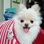 <b>수행</b>평가 좀 골라줘ㅠㅠ