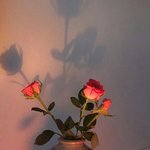 너희 <b>평일</b>에 공부 얼마나 해?