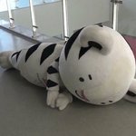 [댓글부탁해] 나 이때까지 인간관계 <b>완만</b>하다고 생각했는데